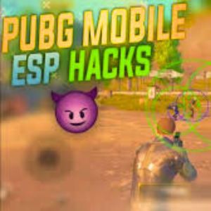 PUBG ESP hack