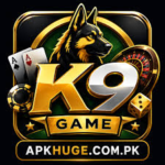 K9 Game